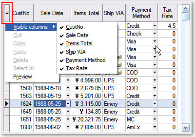 EhLib 4.2 IndicatorTitle 属性的效果
