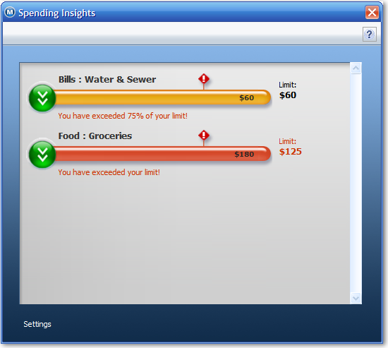 Microsoft Money Plus Insights 消费